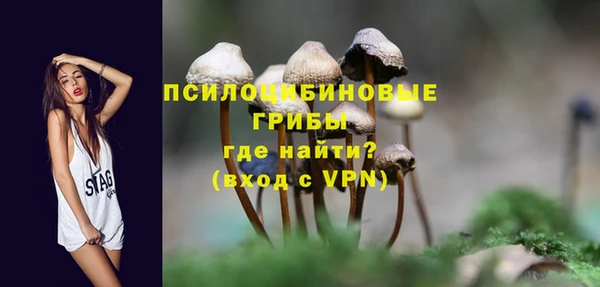 mdpv Коряжма