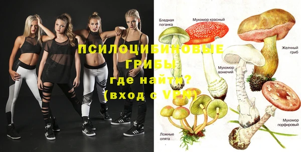mdpv Коряжма
