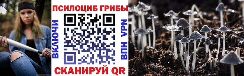 Купить где  Любань  Галлюциногенные грибы MAGIC MUSHROOMS 